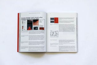 版式设计 杂志设计最考验图文之间的灵活编排