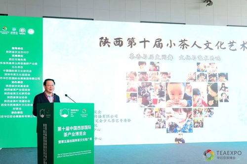 让中国的孩子泡一杯中国茶 陕西第十届小茶人文化艺术节成功举办
