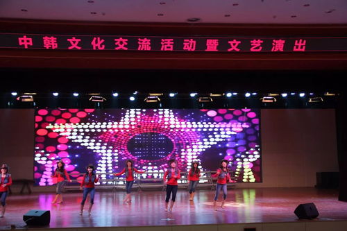 中韩文化交流活动暨文艺演出在市实验小学成功举办